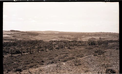 Old Plymouth and Dartmoor Railway embankment on Yennadon Down