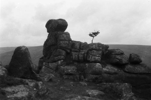 An image from the Dartmoor Trust Archive