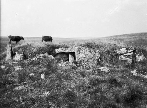 An image from the Dartmoor Trust Archive