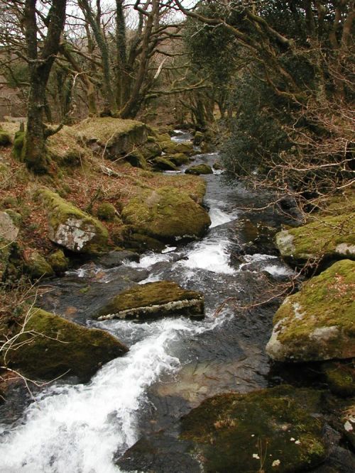 The River Bovey Through Lustleigh Cleave