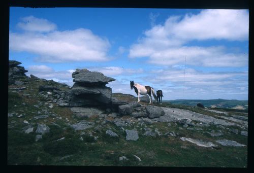 An image from the Dartmoor Trust Archive