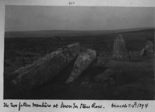 Two fallen menhirs at Down Tor stone row