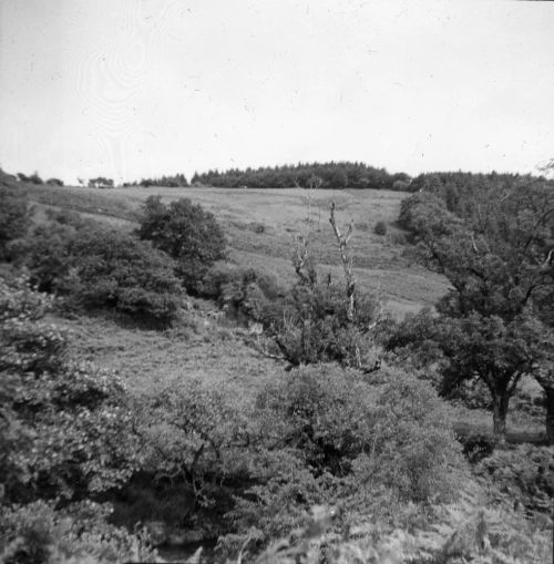 An image from the Dartmoor Trust Archive