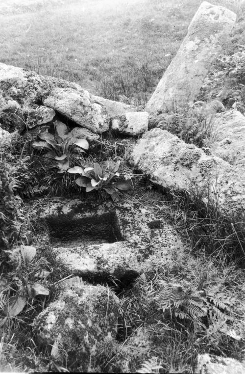 An image from the Dartmoor Trust Archive