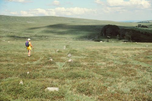 An image from the Dartmoor Trust Archive