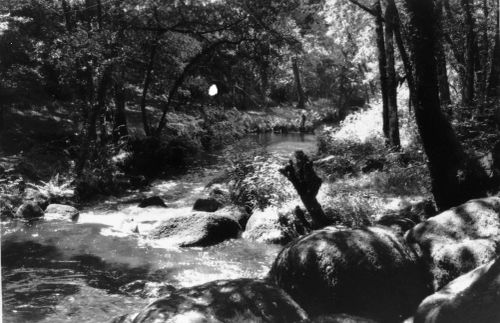 An image from the Dartmoor Trust Archive