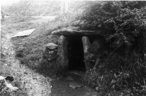 An image from the Dartmoor Trust Archive