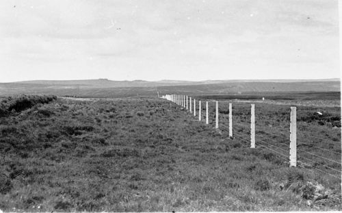 An image from the Dartmoor Trust Archive