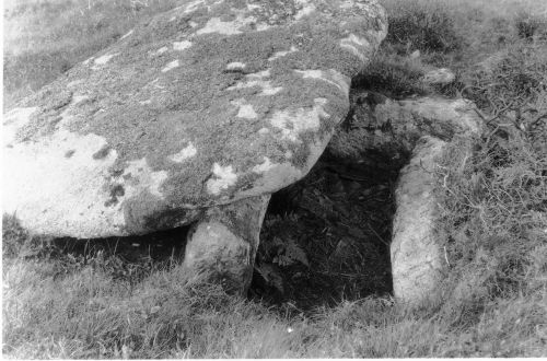 An image from the Dartmoor Trust Archive