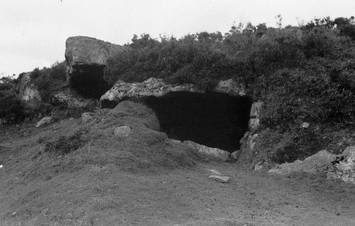 An image from the Dartmoor Trust Archive