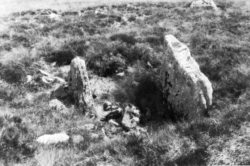 An image from the Dartmoor Trust Archive