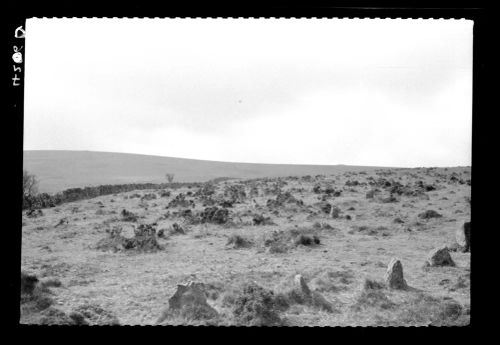 Stone Rows Between East and West Glazebrook