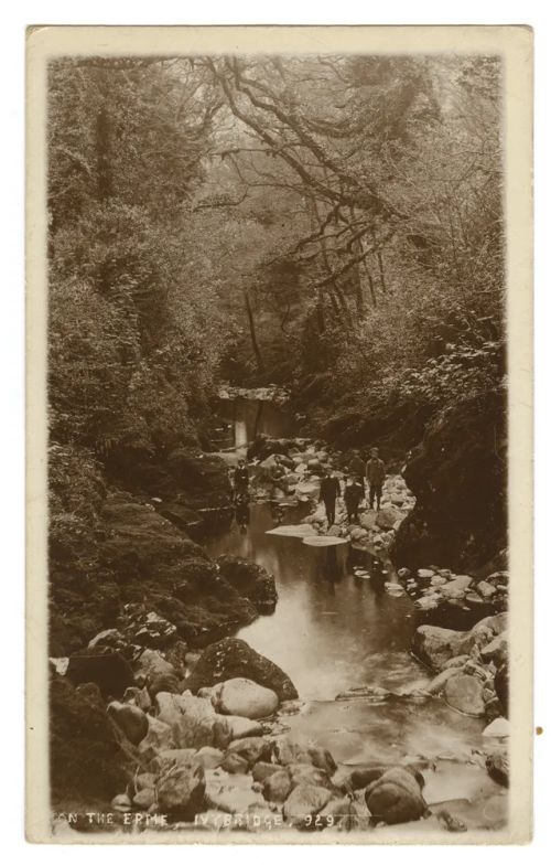 River Erme, Ivybridge