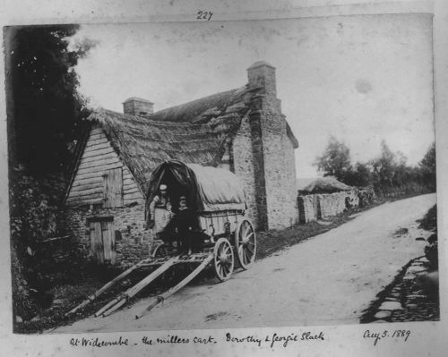 Miller's cart  in Widecombe in the Moor