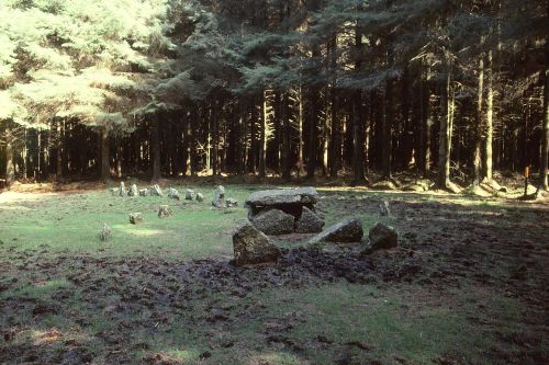 An image from the Dartmoor Trust Archive