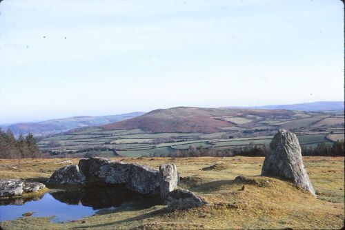 New Frenchbeer tor