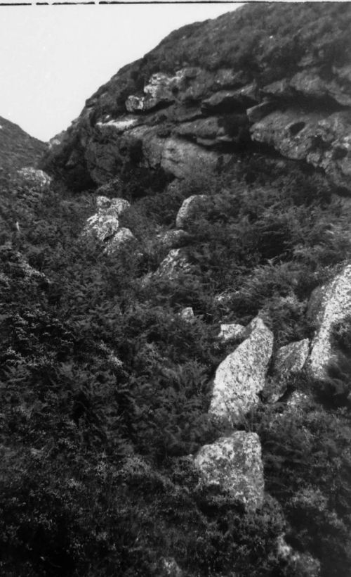 An image from the Dartmoor Trust Archive