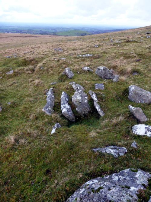 An image from the Dartmoor Trust Archive