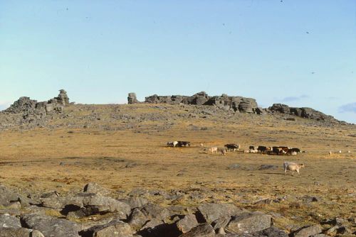 An image from the Dartmoor Trust Archive