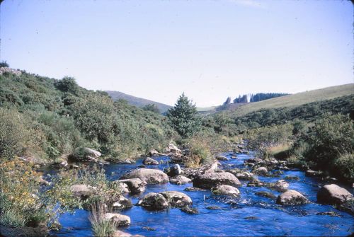 East Dart river at Laughter Hole