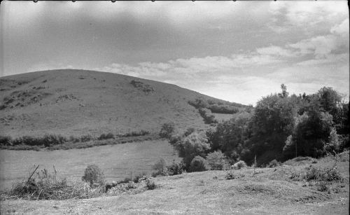 NEGATIVE OF NATTADON, CHAGFORD  by R. HANSFORD WORTH,