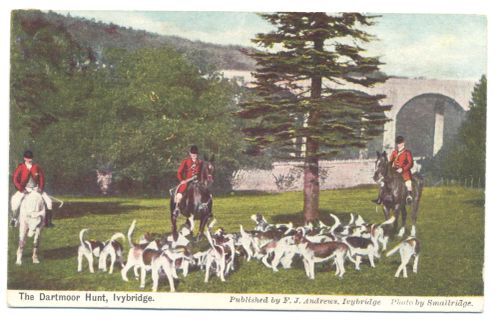 Hunt near Ivybridge