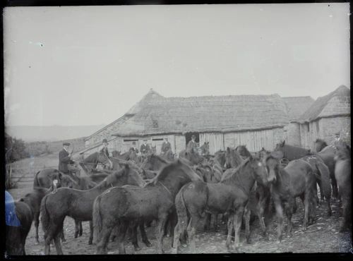 Pony Fair, Bampton