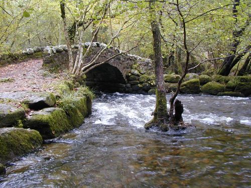 Hisley Bridge Over the River Bovey