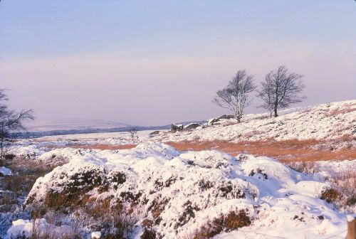 An image from the Dartmoor Trust Archive