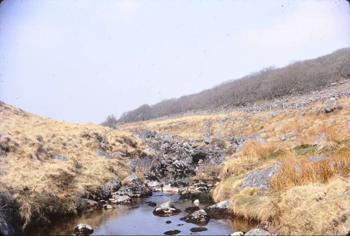 West Dart below Wistman's Wood