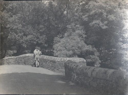 Fingle Bridge