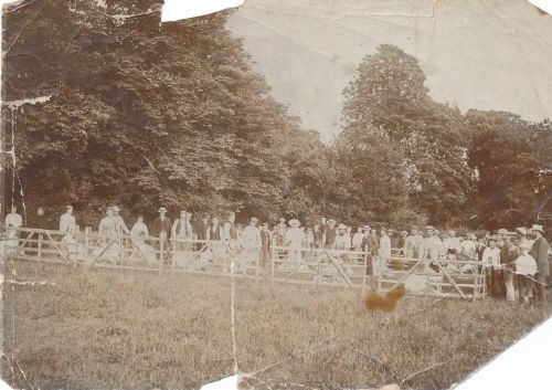 An image from the Dartmoor Trust Archive