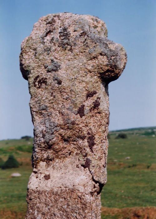 Shaden Cross