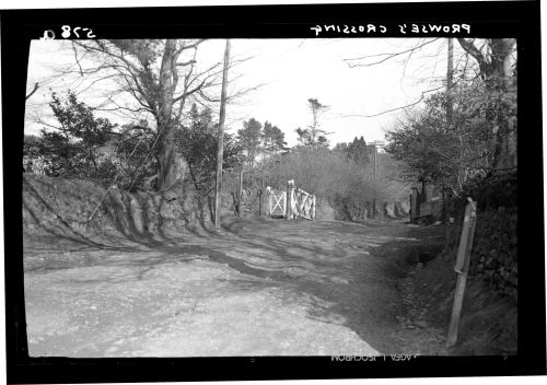 Prowse's Crossing on the Princetown Railway