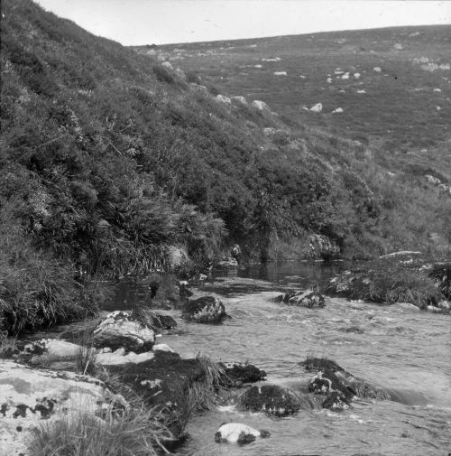 An image from the Dartmoor Trust Archive