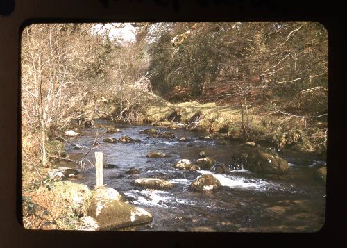 Walkham Upstream from Ward Bridge