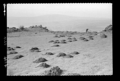 Mole Hills on Brent Hill