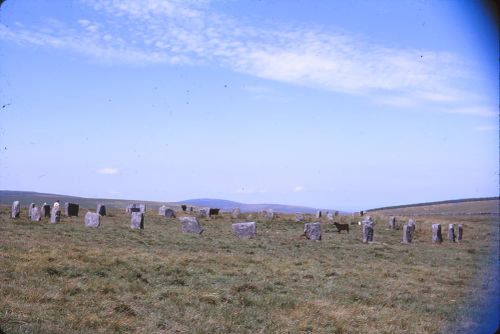 The Grey Wethers stone circles