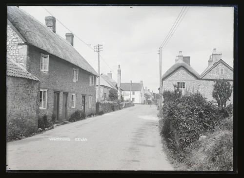 Whitford: street scene, Shute