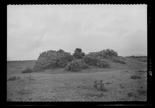 Crapstone Down Barrow, Yelverton