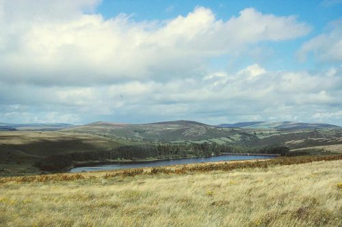 An image from the Dartmoor Trust Archive