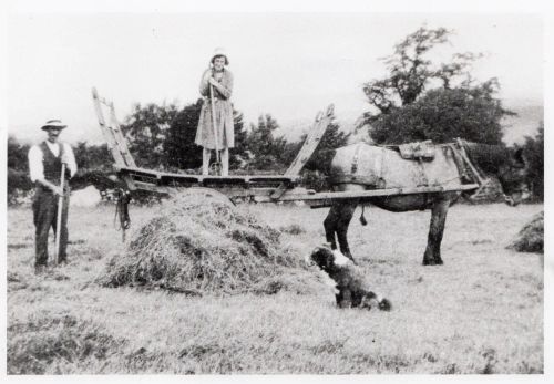 An image from the Dartmoor Trust Archive