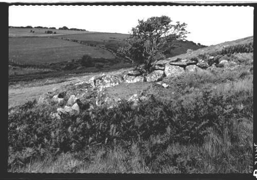 Metherall Hut Circle