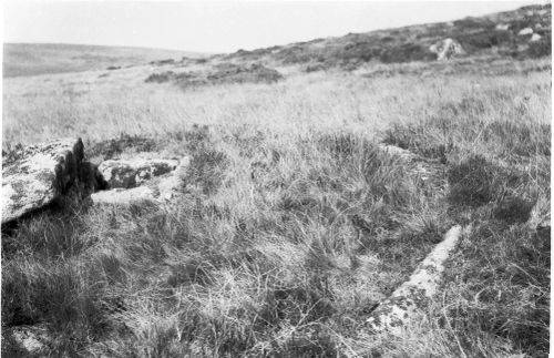 An image from the Dartmoor Trust Archive