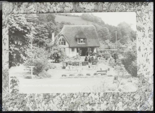 Salmon Leap Cafe, Buckfastleigh