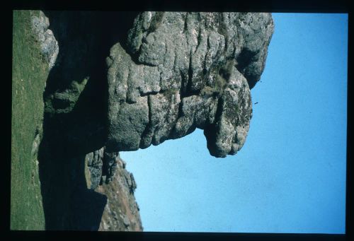 An image from the Dartmoor Trust Archive