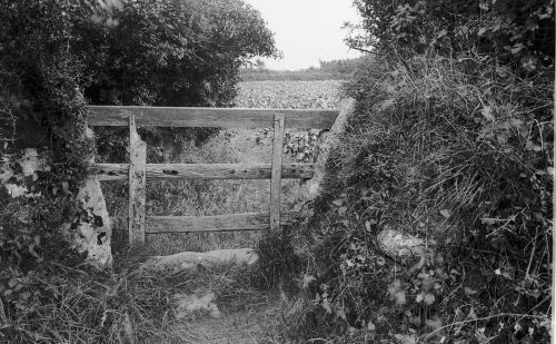 An image from the Dartmoor Trust Archive