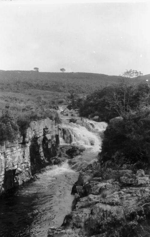 An image from the Dartmoor Trust Archive