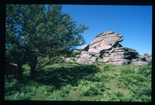 An image from the Dartmoor Trust Archive