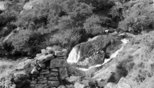 An image from the Dartmoor Trust Archive